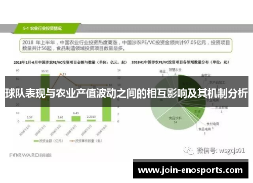 球队表现与农业产值波动之间的相互影响及其机制分析