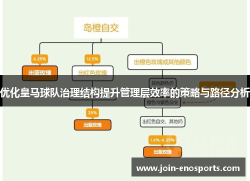 优化皇马球队治理结构提升管理层效率的策略与路径分析
