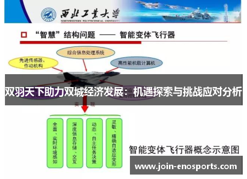 双羽天下助力双城经济发展：机遇探索与挑战应对分析
